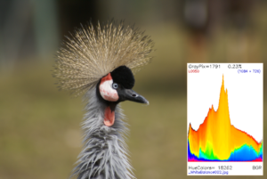 Mehr über den Artikel erfahren GIMP und OpenCV